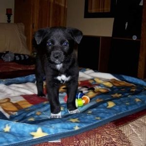 Meet your Posher, Anne